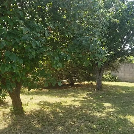 Chambre Zen A La Campagne Marennes  Exterior photo