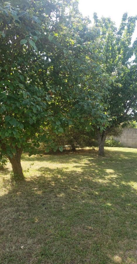 Séjour chez l'habitant Zen à La Campagne Marennes (Charente-Maritime)