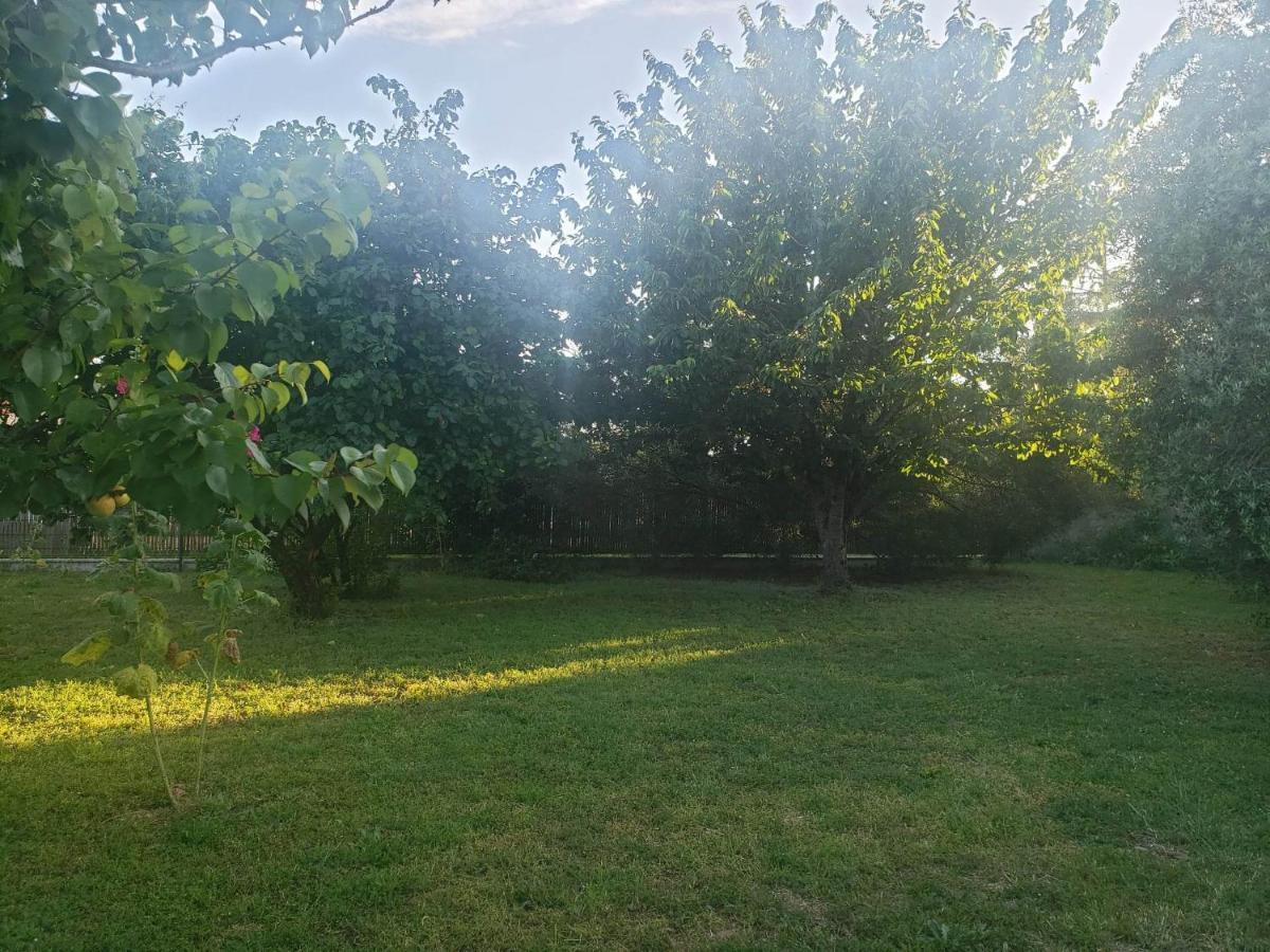 Zen à La Campagne Marennes (Charente-Maritime)